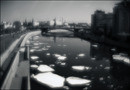   (1)