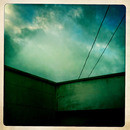 Lomo #228
