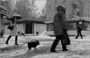 -  17