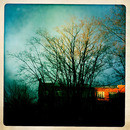 Lomo #229
