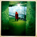 Lomo #231