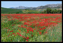 Andalucia