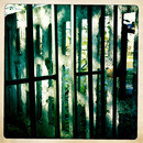 Lomo #237
