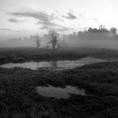 120519- DSC8282-85P