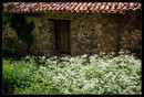 Cantabria