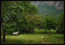 Cantabria