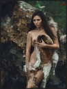 Foxstory