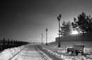 winter