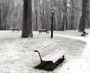Piervy snieg v parkie