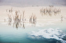 Dead Sea ...