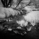 110611-P1030081