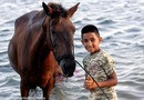 Boy and Horse