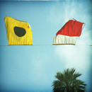 beach flags