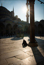 Istanbul #50