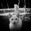 130818- 6450988-bw