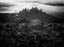 131107- 6452497-bw