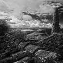 141105-P1050149