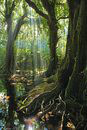 Pacific O. Mango forest.