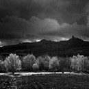 141105-P1050155