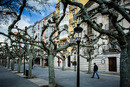 Spain #37