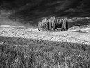 140429-P1050577