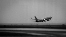 Fly away...