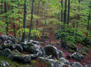 902-C-140426-Velvia50-009