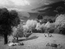 140426-P1050478