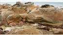  Stokes Bay