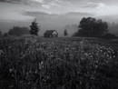 130609-CF003959-c1
