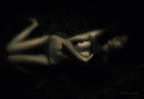 "From the series Photo Contemporary