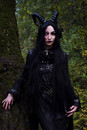 Lord of Shadows (14)