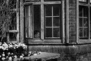 UK2015 #7