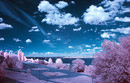 Another world