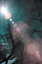 Another world
