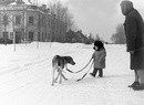 1965 .