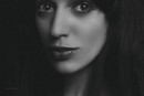 Portrait characterized by concisene