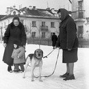  1965 .