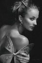 Portrait. Portrait studio A. Krivit