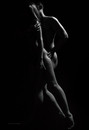 studio A. Krivit