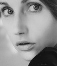 studio A. Krivit