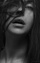 Portrait. Portrait studio A. Krivit