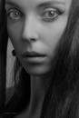Portrait. Portrait studio A. Krivit