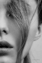 Portrait. Portrait studio A. Krivit