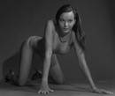Portrait. Portrait studio A. Krivit