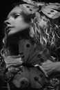 Portrait. Portrait studio A. Krivit