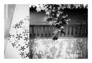 Sochi 2o14