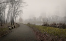 It`s foggy