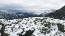 Angeles Forest