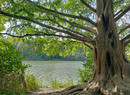 High Park